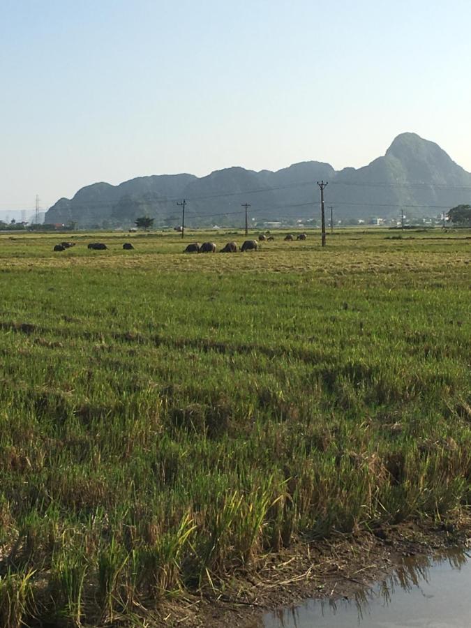 Limestone View Homestay Ninh Binh Exterior photo